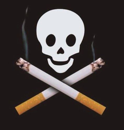 Fumerpasbien's profile picture. 