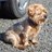 lees_hilda's profile image