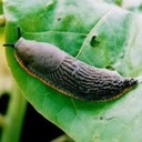 Everett Mccall - @EverettMccall - Twitter