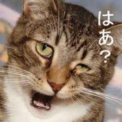 あ~ムカつくという時の怒りを静める為の
言葉や感情をコントロールする知識をつぶやいています
ストレスが溜まることやむかつく事が多いですが
なるべく怒らないように頑張りましょう!!
