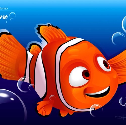 Still finding nemo