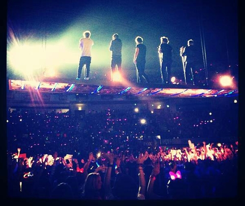 EllaS_1D's profile picture. directioner ♡ je parle français. folow to me by a member of one direction