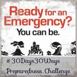 Can You Do One Task Per Day to make you and your loved ones more resilient towards disaster?  Take the challenge! Next Challenge starts Sept 1st