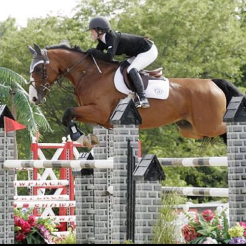 fleqprincess's profile picture. 