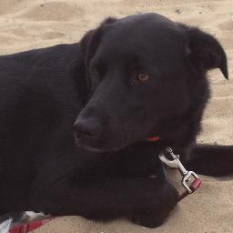 JulieHeffner's profile picture. Business/Computer Teacher at Susquenita High School
Perry County, PA