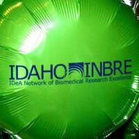 Idaho INBRE Program (@idahoinbre) Twitter profile photo
