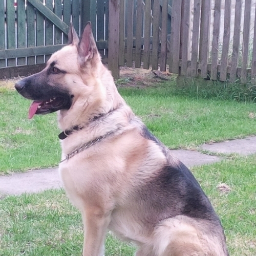 Stephan4blue's profile picture. 