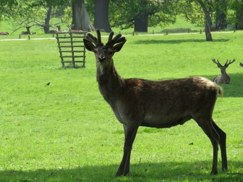 My main hobby- photography! Not a professional, just an enthusiastic amateur!