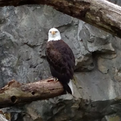 RCMass57's profile picture. 