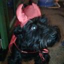 kerry Brett - @KerryBrett - Twitter