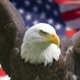 WoodlawnMS MD (@woodlawnms) Twitter profile photo WoodlawnMS MD (@woodlawnms) Twitter profile photo