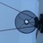 dromvidere's profile image
