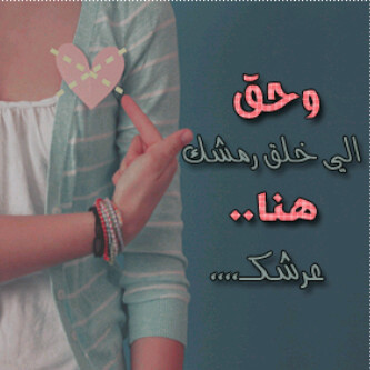 44noad's profile picture. 