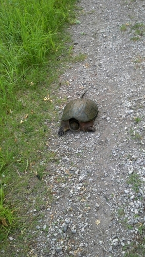 Aaronmeagher's profile picture. 