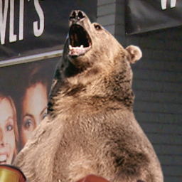 BownessBear's profile picture. HONEY, FISH, RESPECT = LYFE