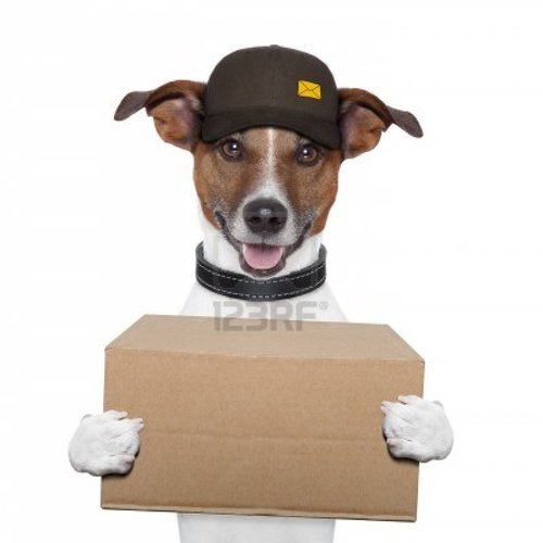 FlavioHauc241's profile picture. Dog dispenser