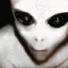 not be afraid of me, I'm just a harmless gray. or not ...