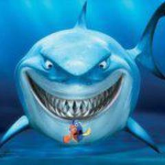 NemoAquariums's profile picture. Mokattam street 9 opposite El Shabrawy  0122 393 7070
لبيع جميع الحيوانات و الاسماك و الطيور و مستلزماتها