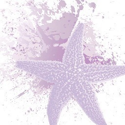 LovenSunshinedw's profile picture. South Florida premier Destination Wedding Conference feat. Preston Bailey October 26-28 2014