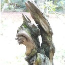 forest.griffin - @MarionLangridge - Twitter