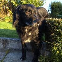 Alwyn Hart (@alwynhart) Twitter profile photo