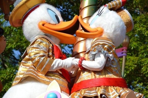 datatogo1937's profile picture. キャラオタ