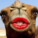 Alex Nieves - @AlexNie02701223 - Twitter