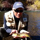 Mike Pellini, MD - @MichaelPellini - Twitter