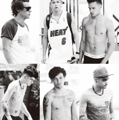 fatma_kandiil's profile picture. -Directioner :) 
-Belieber :) 
Feel free to follow 
Haters gonna hate,potatos gonna potate ✌