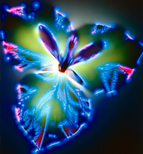 NadiaOirdi's profile picture. 