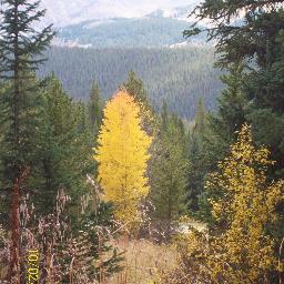 dmccracken4512's profile picture. 