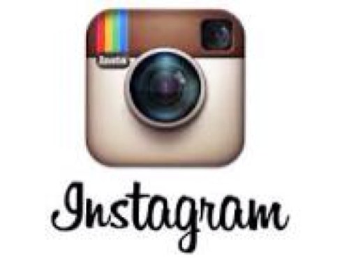 InstagramVideo4's profile picture. Vine is an endangered species