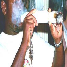 Cannabis
