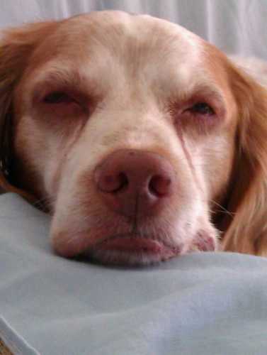 evaramosg's profile picture. lo q ves es lo q hay ni más ni menos