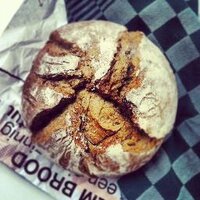 Broodvannu (@broodvannu) 's Twitter Profile