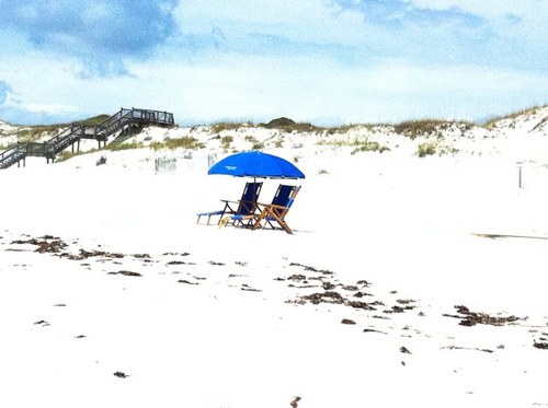 ao_bollmann's profile picture. 