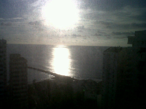 rosa50044345's profile picture. 