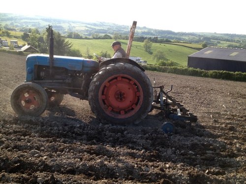 Graig Farm Organics - Specialist organic meat producers based on Jonathan and Sally Rees’ farm in Powys, Wales.