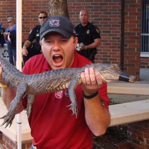 gococks1985's profile picture. 