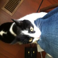 J.J. Ipsen (@jjipsen) 's Twitter Profile