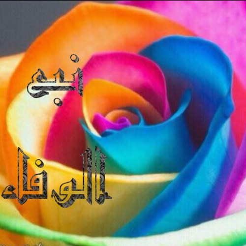 دَع كل أمُورَگ لـِ الله ،وإستودع گل مآتُخفِيھِ نَفسُگ لَھُ ، وإشكرھُ عَلى گل حآل لگ الحَمدُ يآرب♡