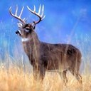 Craig LaVigne - @CraigLaVigne - Twitter