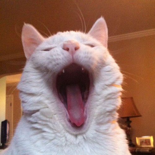 Drag_Bucket's profile picture. Iowa State University. Theta Chi Fraternity. Aerospace Engineering.