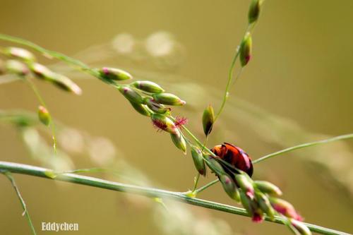 coursing24's profile picture. 攝影愛好者