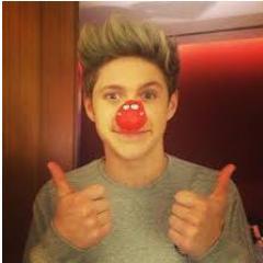 I LOVE NIALL HORAN FROM 1D!