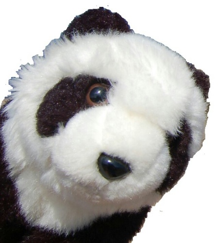 A happy panda