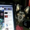 Judith Wright - @juditheee - Twitter