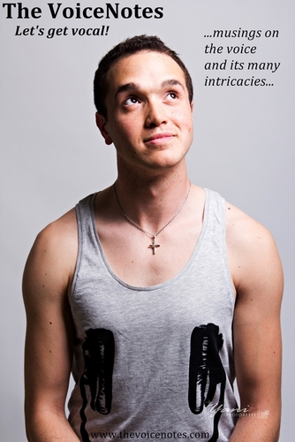 TheVoiceNotes's profile picture. a website resource for voice users from all walks of life!