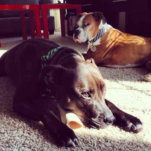 lmseifert32's profile picture. 