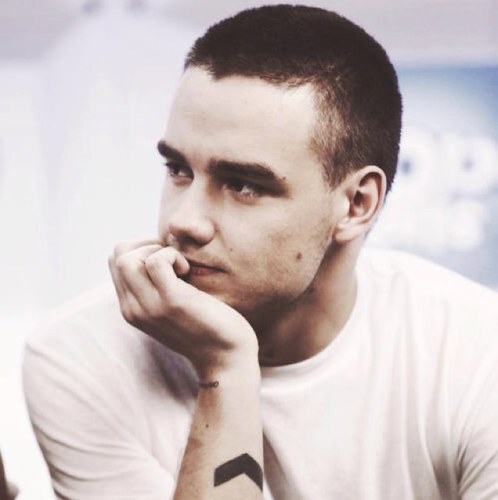 I'm Liam Payne! Deal with it bitches (; I'm nice if you are, and if you're gonna be a bitch, so am I. Payback's a bitch. Taken by the lovely @FakingFun | Bi| RP